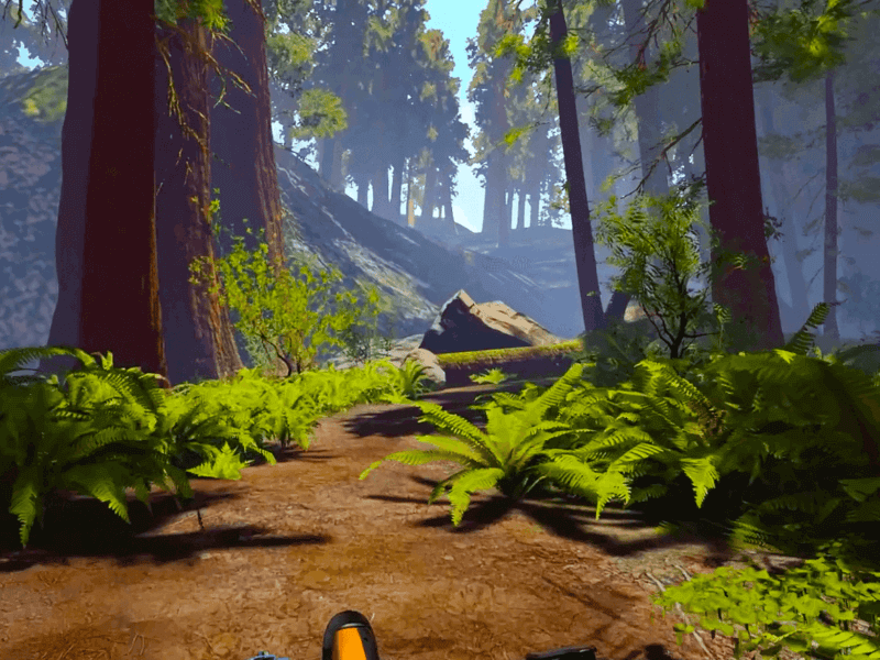 Redwood